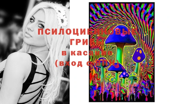 прущая мука Бронницы