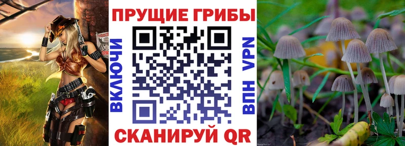 Галлюциногенные грибы мухоморы  kraken как зайти  Сочи 